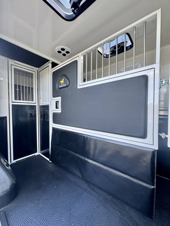 Van per Cavalli Ameline RENAULT MASTER  2025 Nuovo