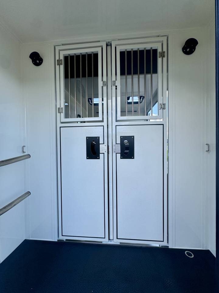 Van per Cavalli Ameline RENAULT MASTER  2025 Nuovo