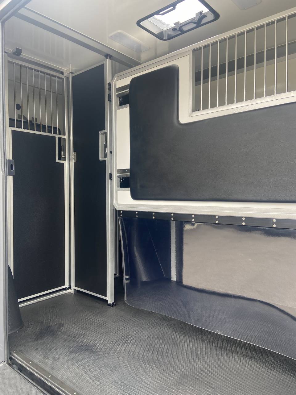 Van per Cavalli STX  2025 Nuovo