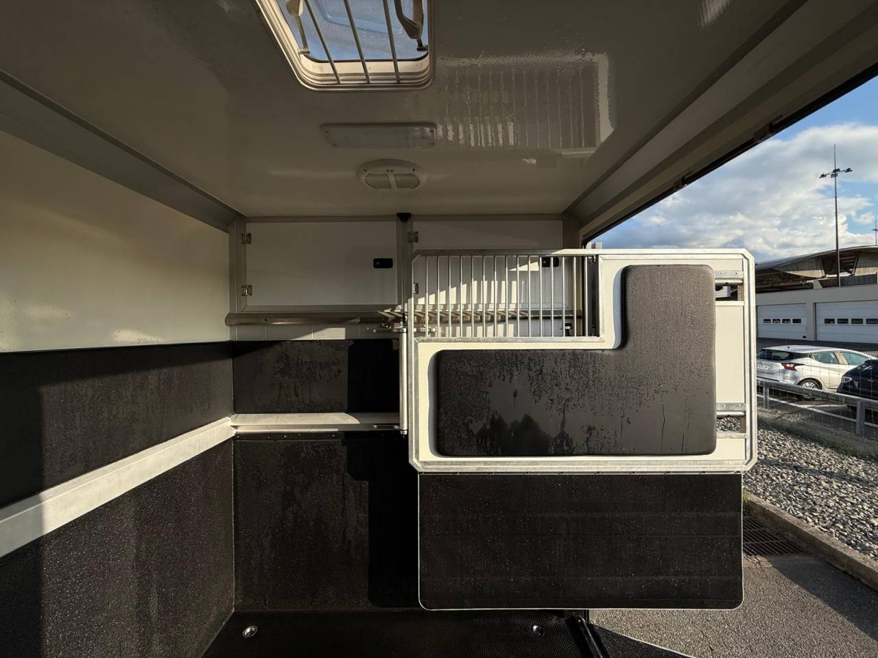 Van per Cavalli STX STX 2021 Occasione