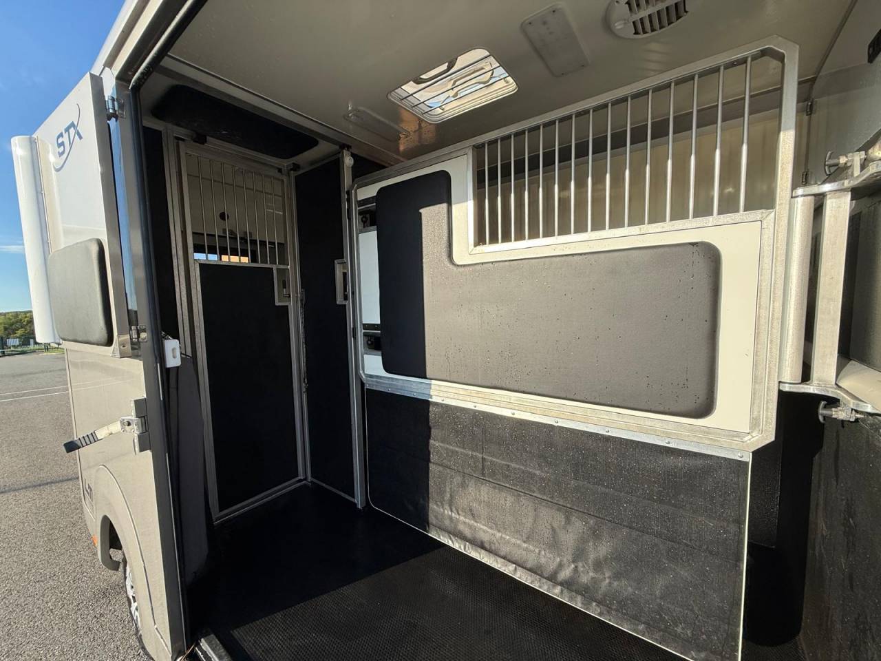 Van per Cavalli STX STX 2021 Occasione