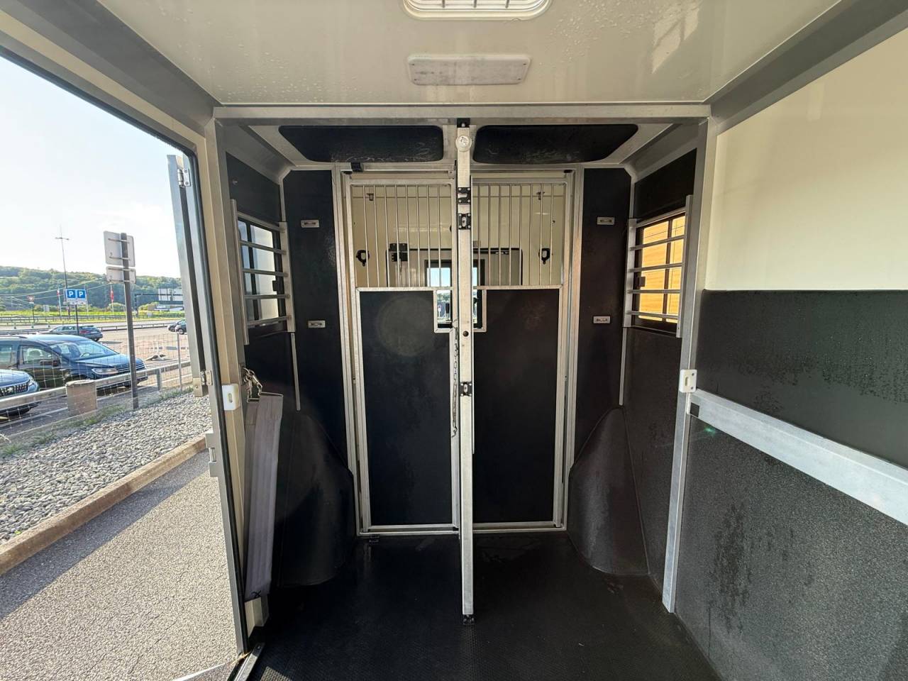 Van per Cavalli STX STX 2021 Occasione