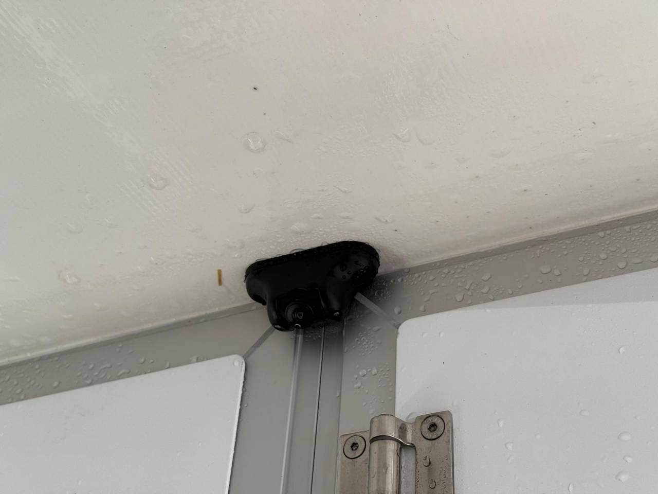 Van per Cavalli STX STX 2021 Occasione