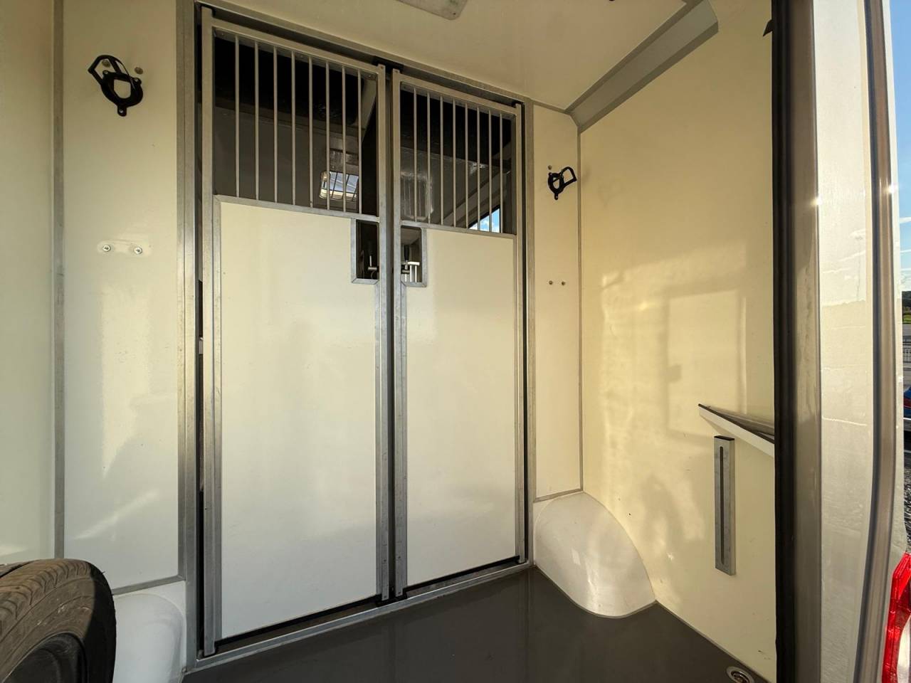 Van per Cavalli STX STX 2021 Occasione