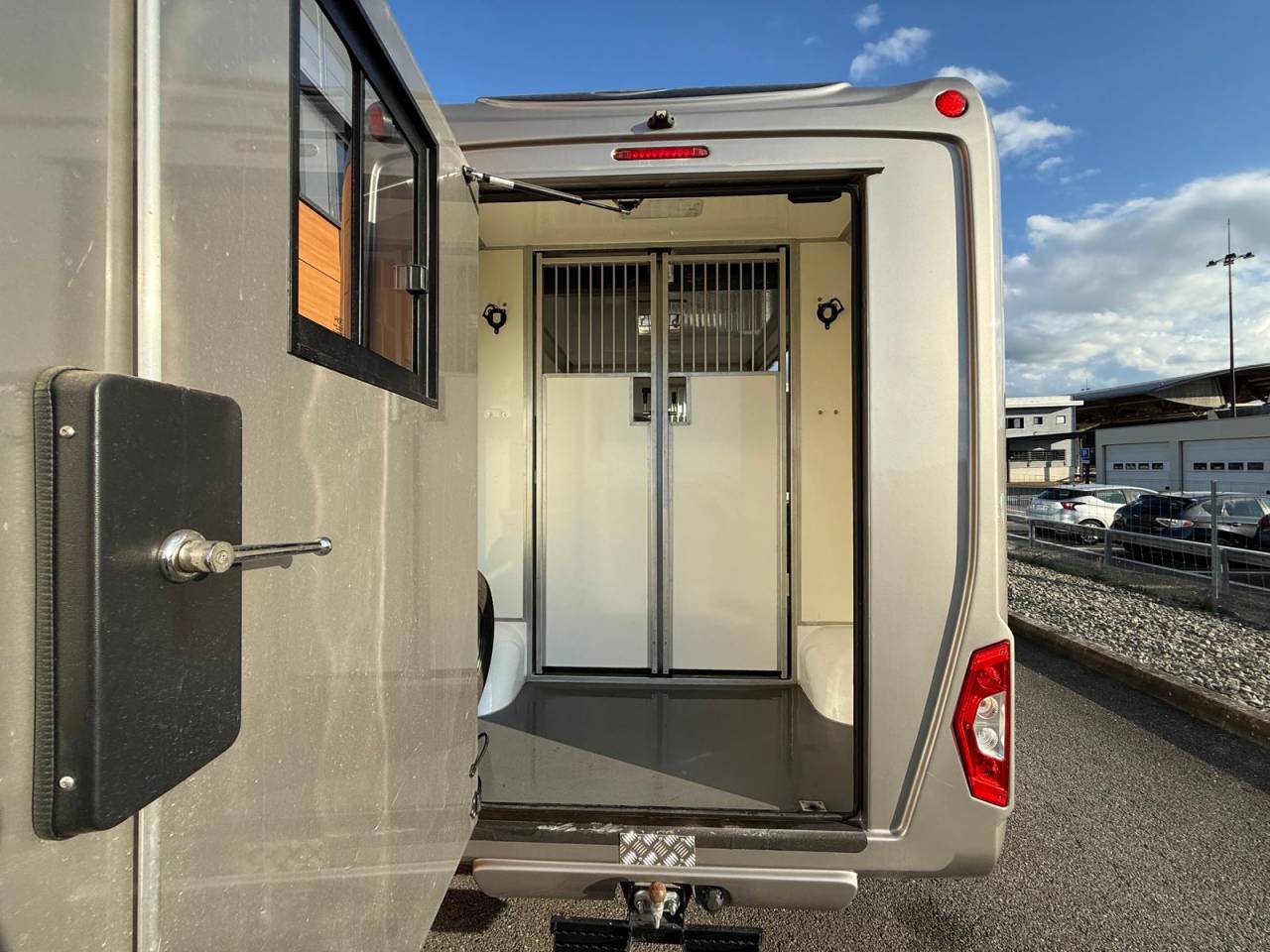 Van per Cavalli STX STX 2021 Occasione