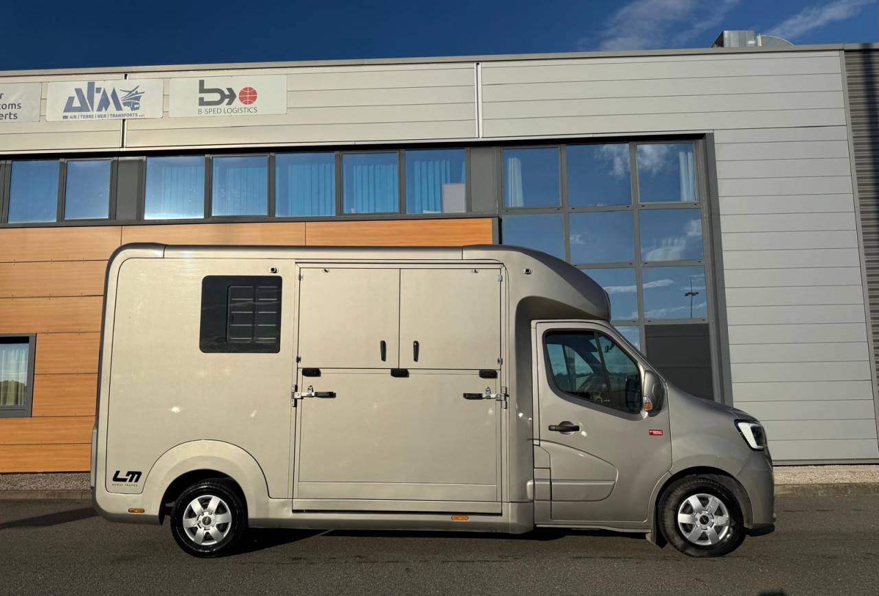 Van per Cavalli STX STX 2021 Occasione