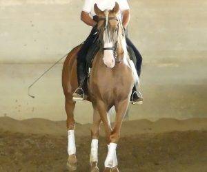 Intero Origine Non Constatata In vendita 2018 Altro colore