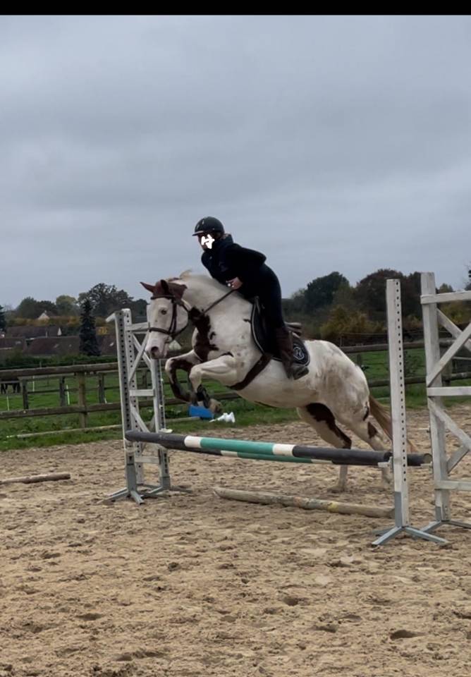 Cavalla Paint Horse In vendita 2015 Paint