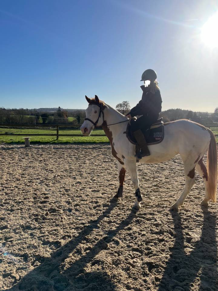 Cavalla Paint Horse In vendita 2015 Paint