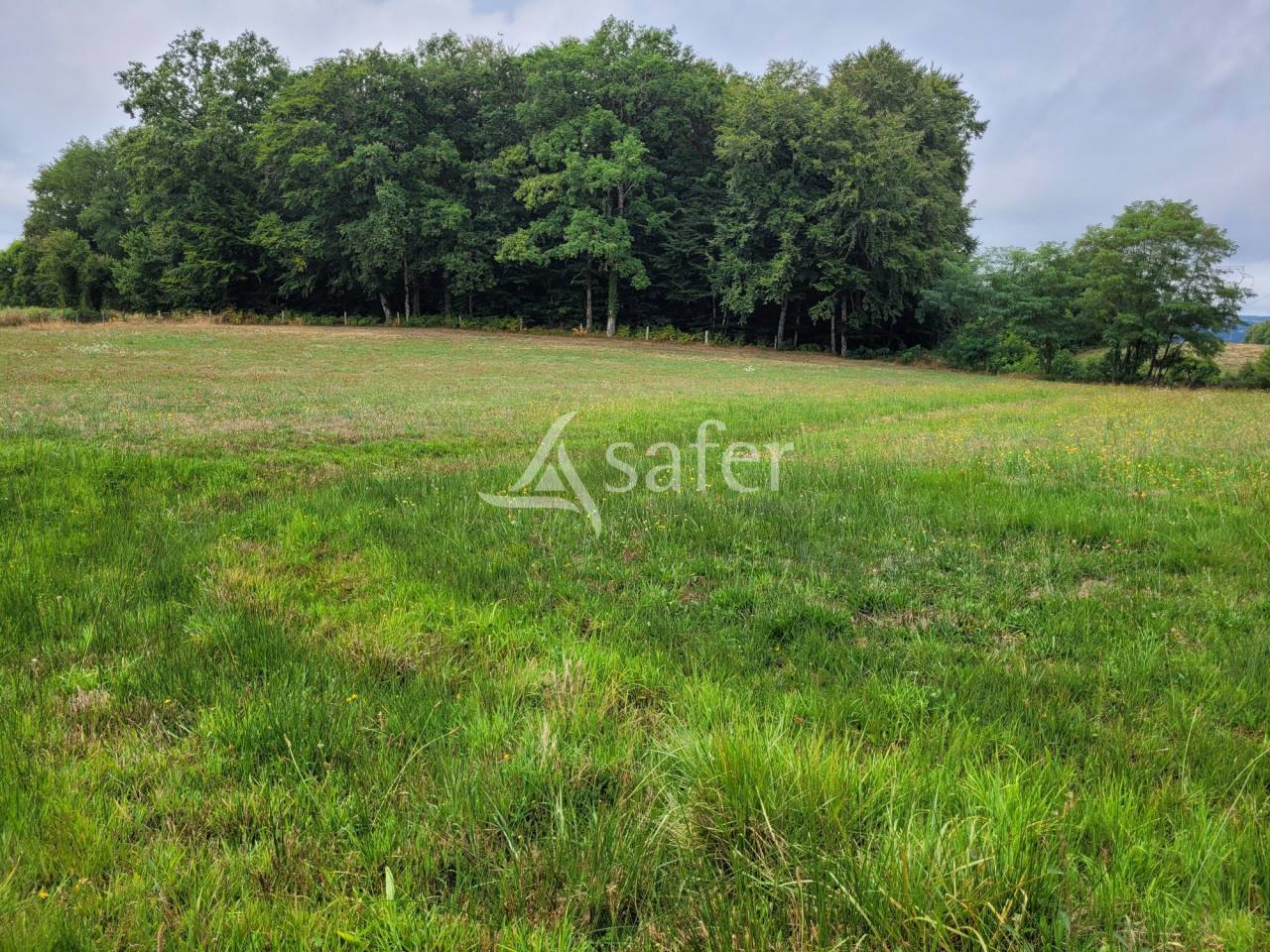Azienda agricola In vendita Cantal