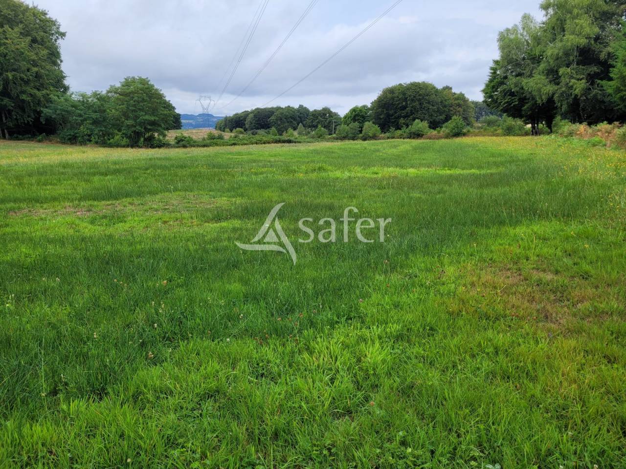 Azienda agricola In vendita Cantal