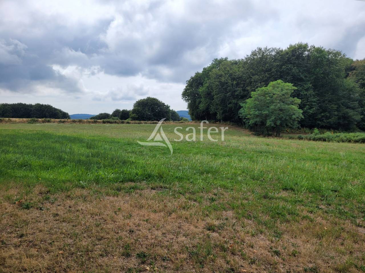 Azienda agricola In vendita Cantal