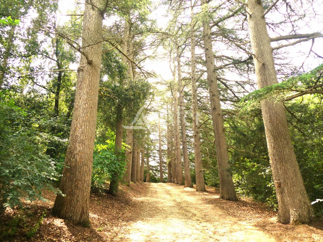 Proprietà rurale In vendita Gers