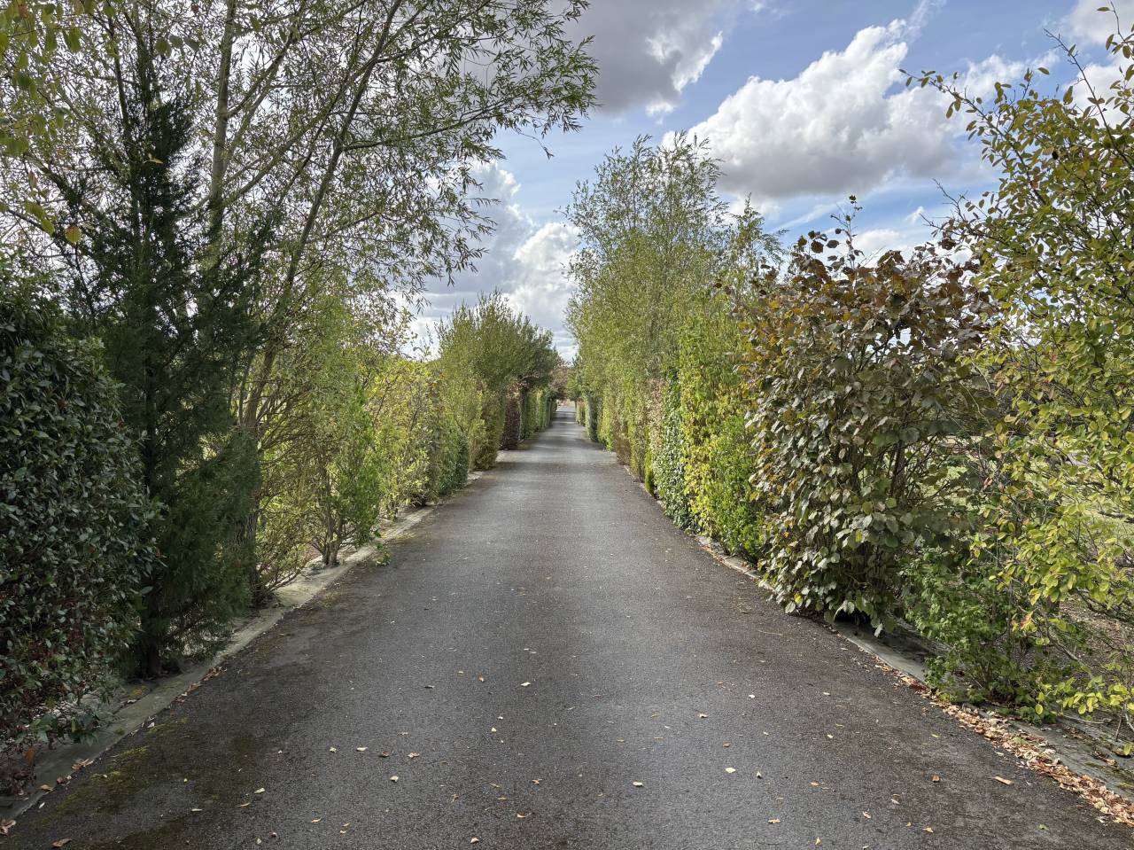 Centro di stagione cavallo In vendita Calvados