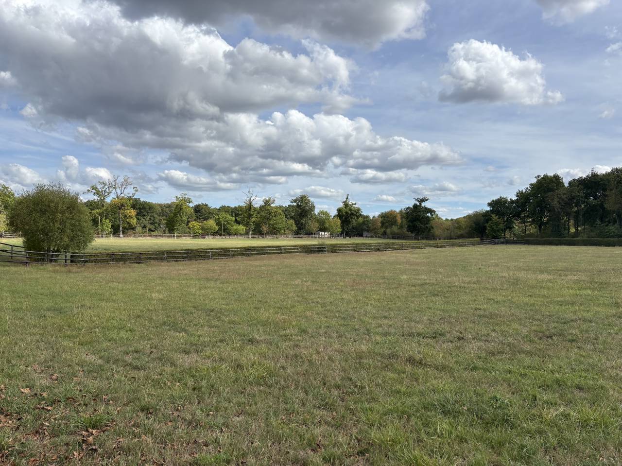Centro di stagione cavallo In vendita Calvados