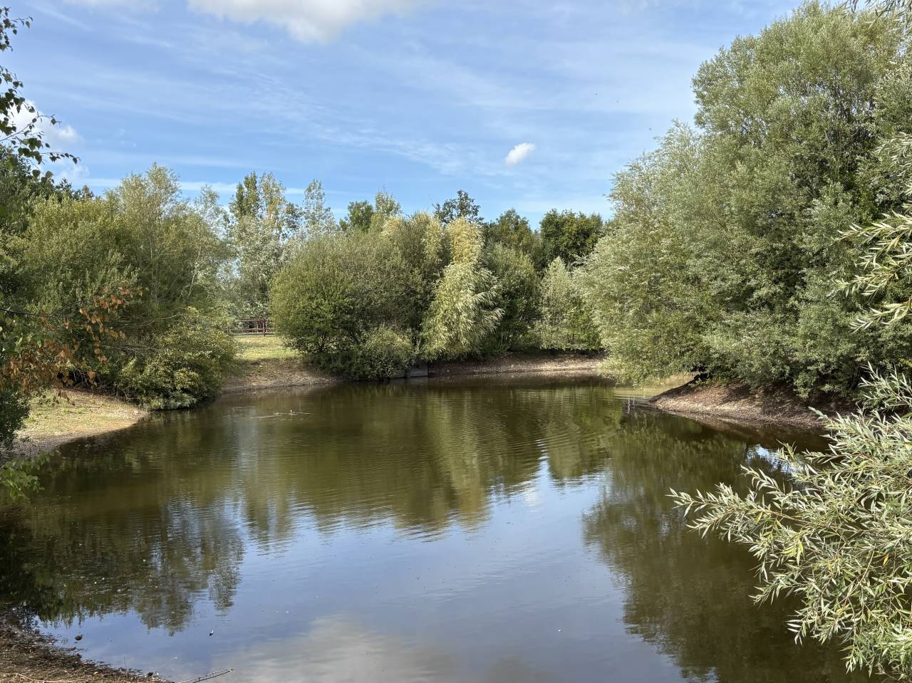 Centro di stagione cavallo In vendita Calvados