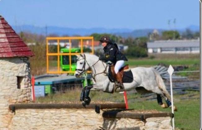 Intero Connemara In vendita 2017 Grigio ,  ICE AND FIRE D'ALBRAN