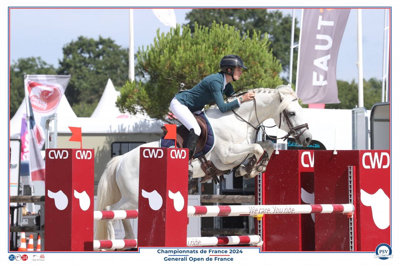 Intero Connemara In vendita 2017 Grigio ,  ICE AND FIRE D'ALBRAN