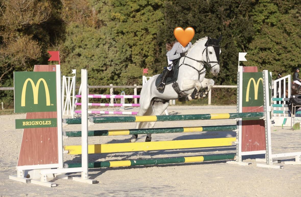 Intero Connemara In vendita 2017 Grigio ,  ICE AND FIRE D'ALBRAN