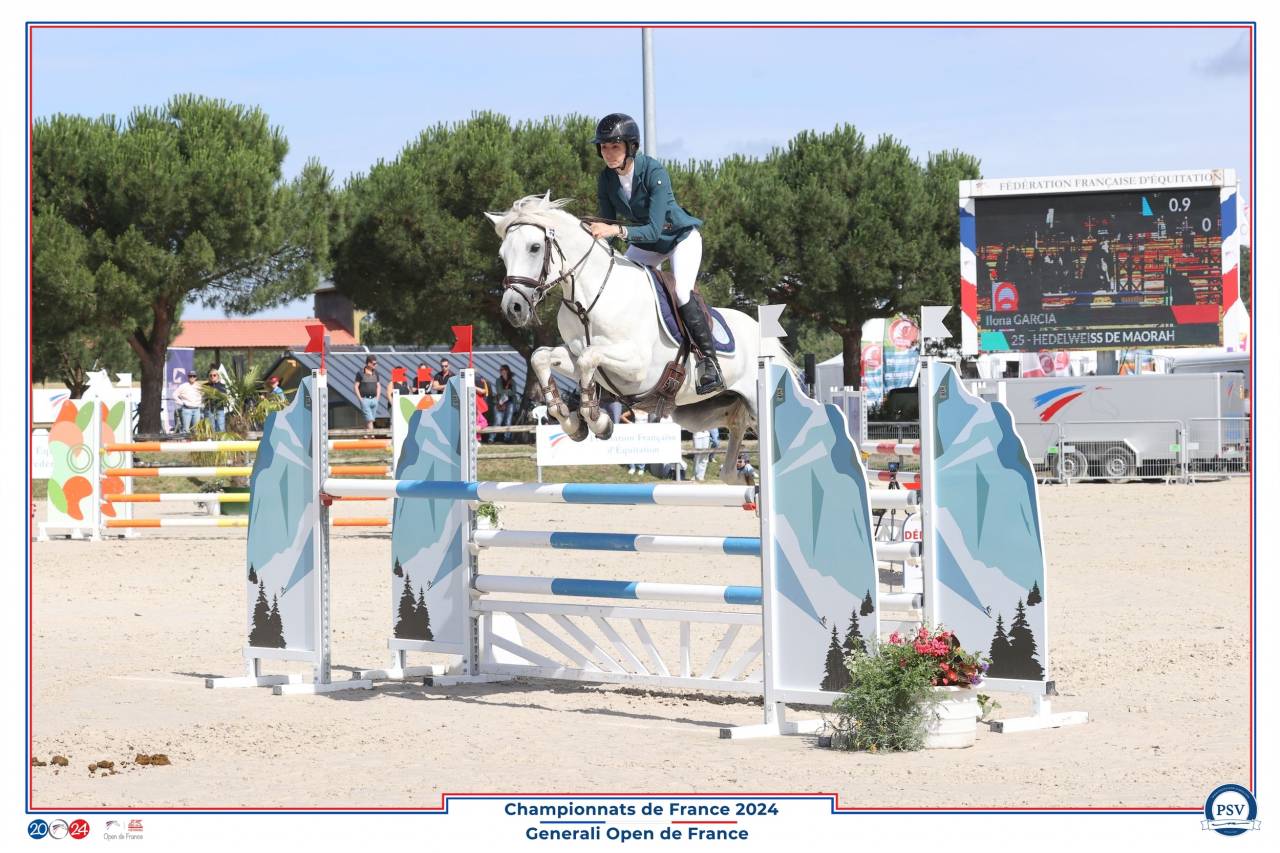 Intero Connemara In vendita 2017 Grigio ,  ICE AND FIRE D'ALBRAN