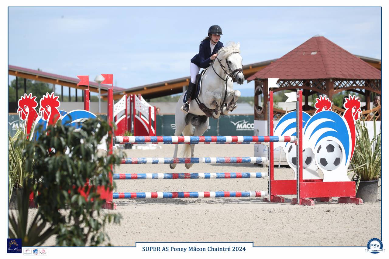 Intero Connemara In vendita 2017 Grigio ,  ICE AND FIRE D'ALBRAN