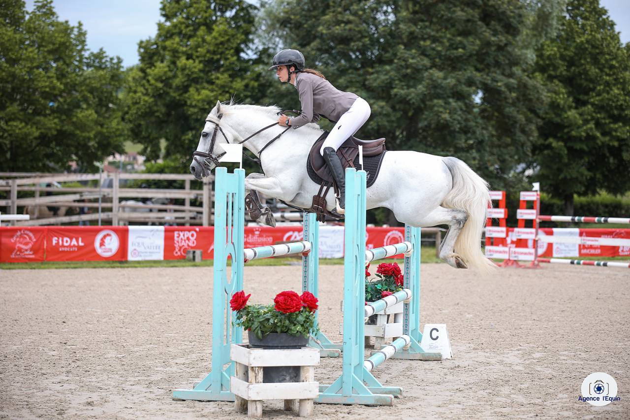 Intero Connemara In vendita 2017 Grigio ,  ICE AND FIRE D'ALBRAN