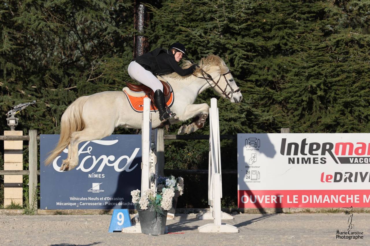 Intero Connemara In vendita 2017 Grigio ,  ICE AND FIRE D'ALBRAN