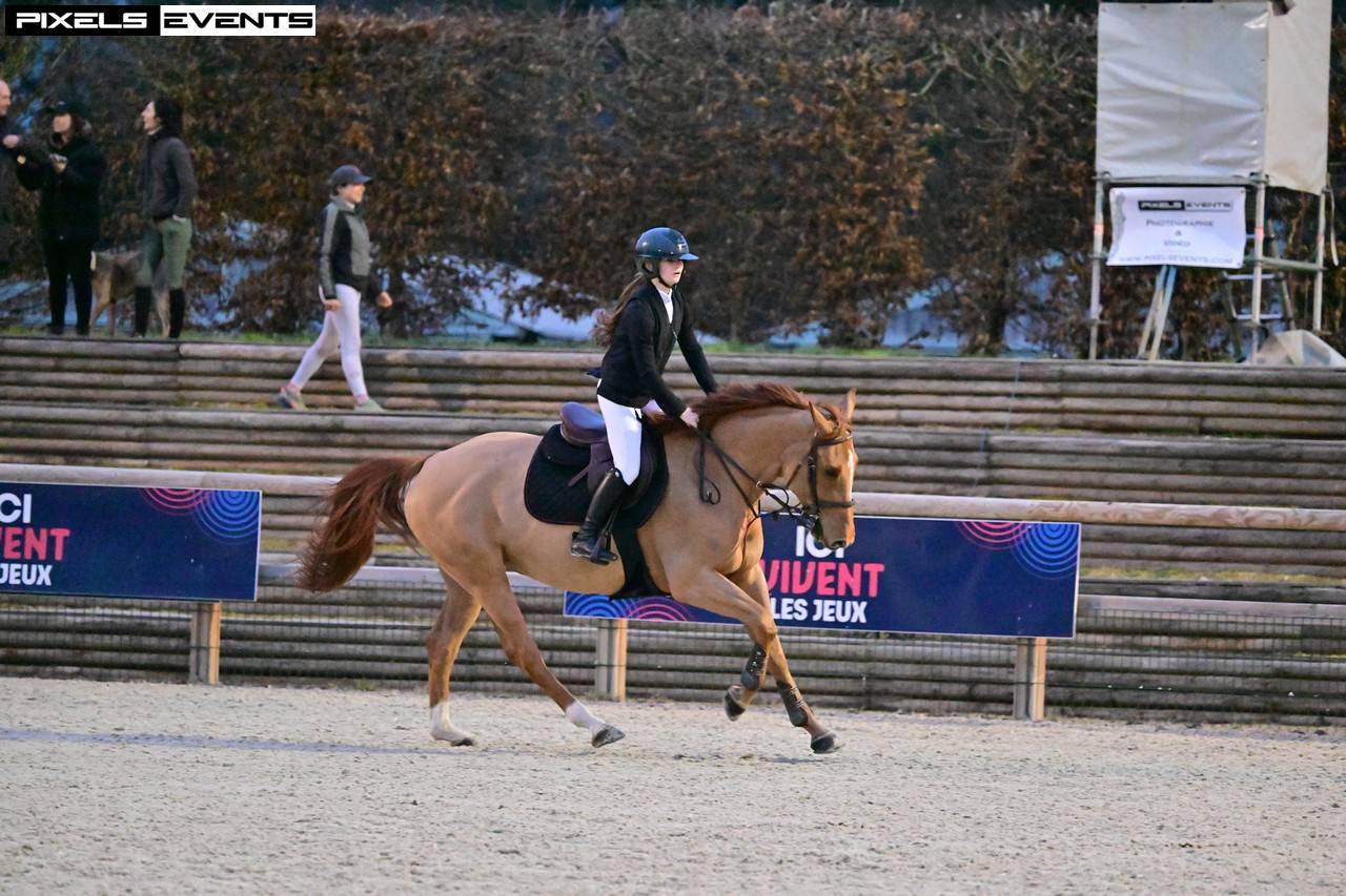 Cavalla Sella Francese In vendita 2017 Sauro