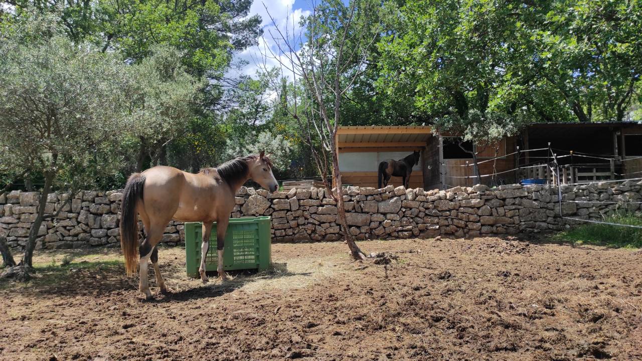 Bella dimora equestre In vendita Var