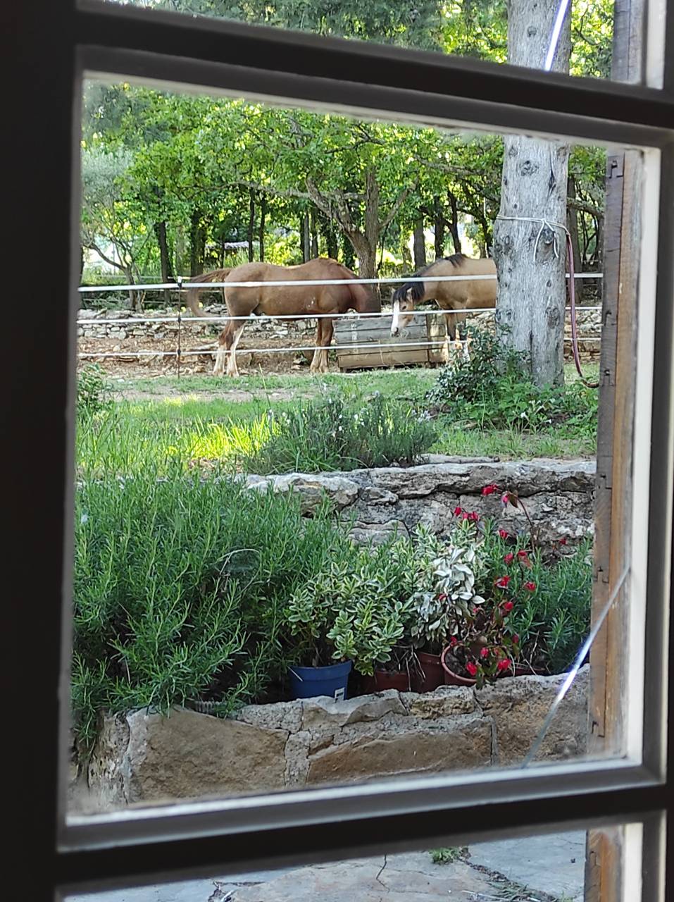 Bella dimora equestre In vendita Var