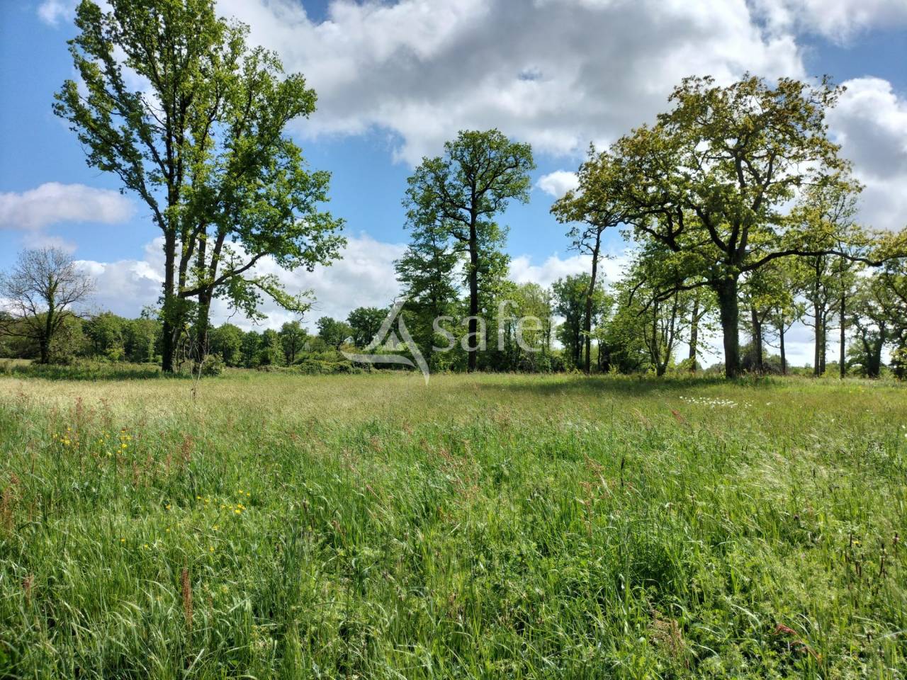 Proprietà rurale In vendita Vendée