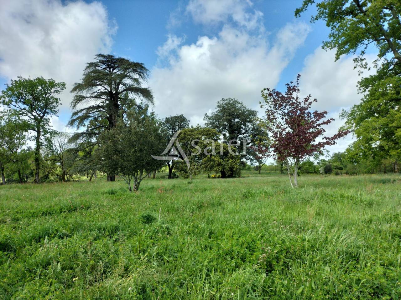 Proprietà rurale In vendita Vendée