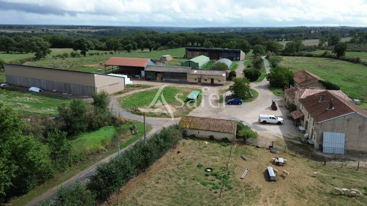 Azienda ovina In vendita Vienne