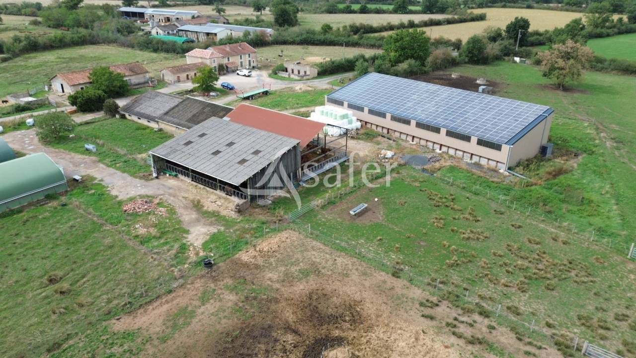 Azienda ovina In vendita Vienne