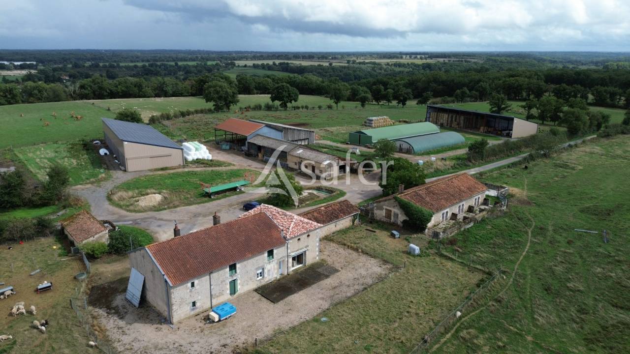 Azienda ovina In vendita Vienne
