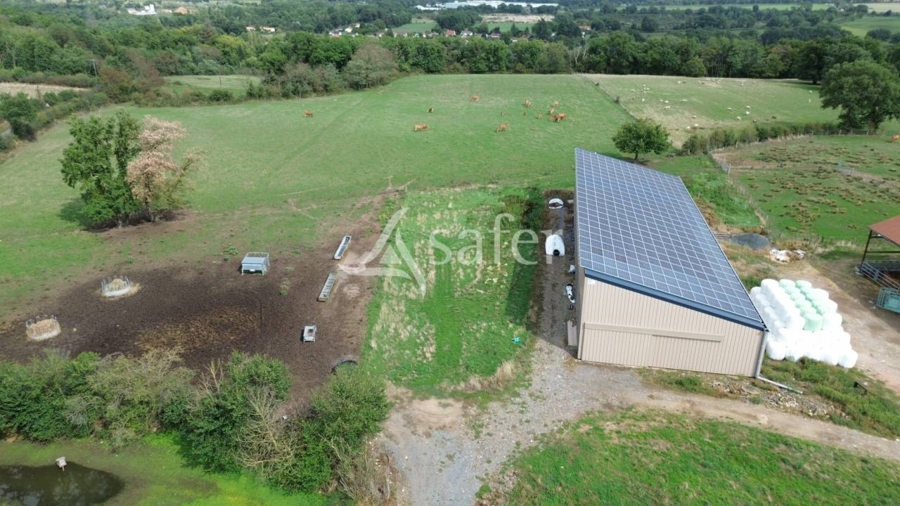 Azienda ovina In vendita Vienne