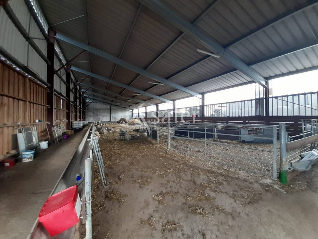 Azienda ovina In vendita Vienne