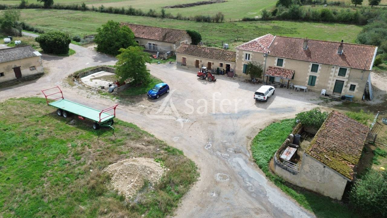 Azienda ovina In vendita Vienne