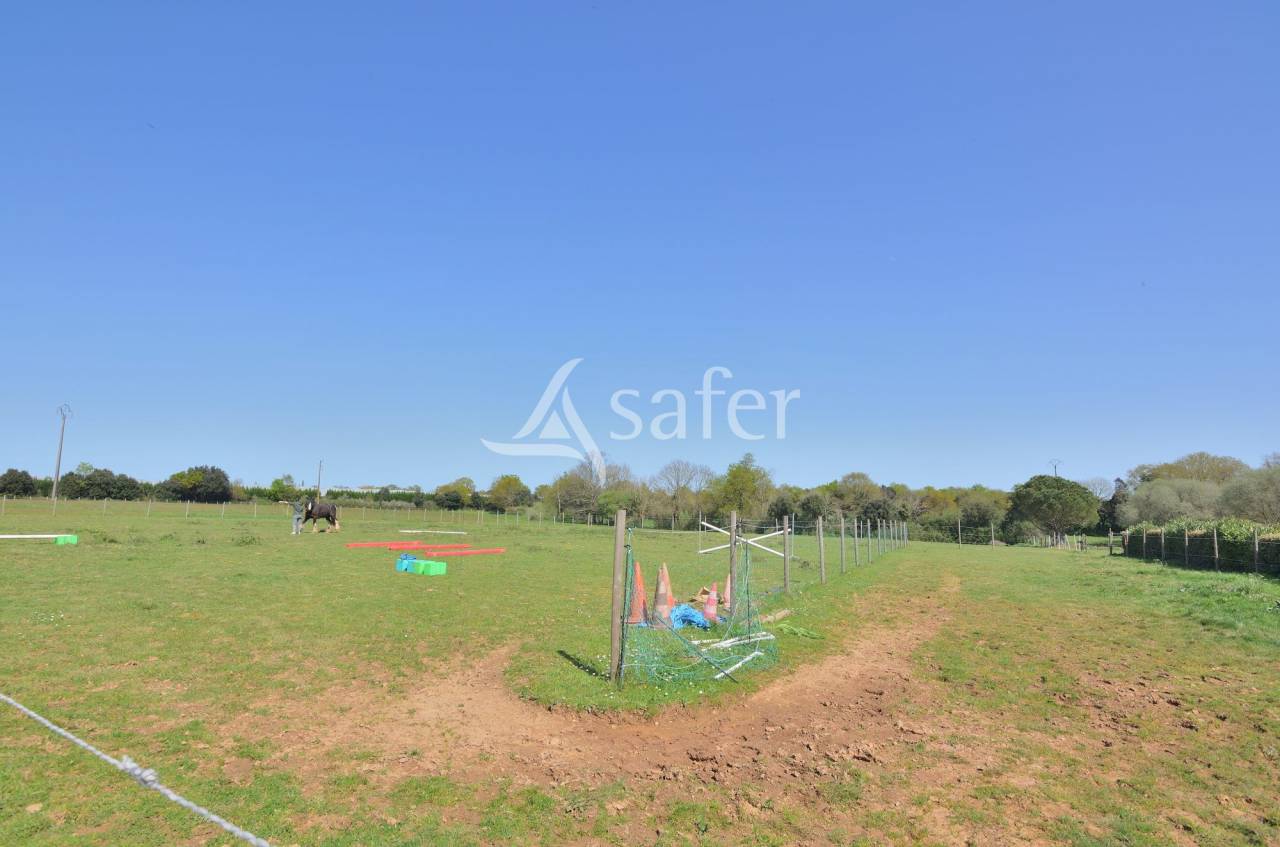 Proprietà rurale In vendita Vendée