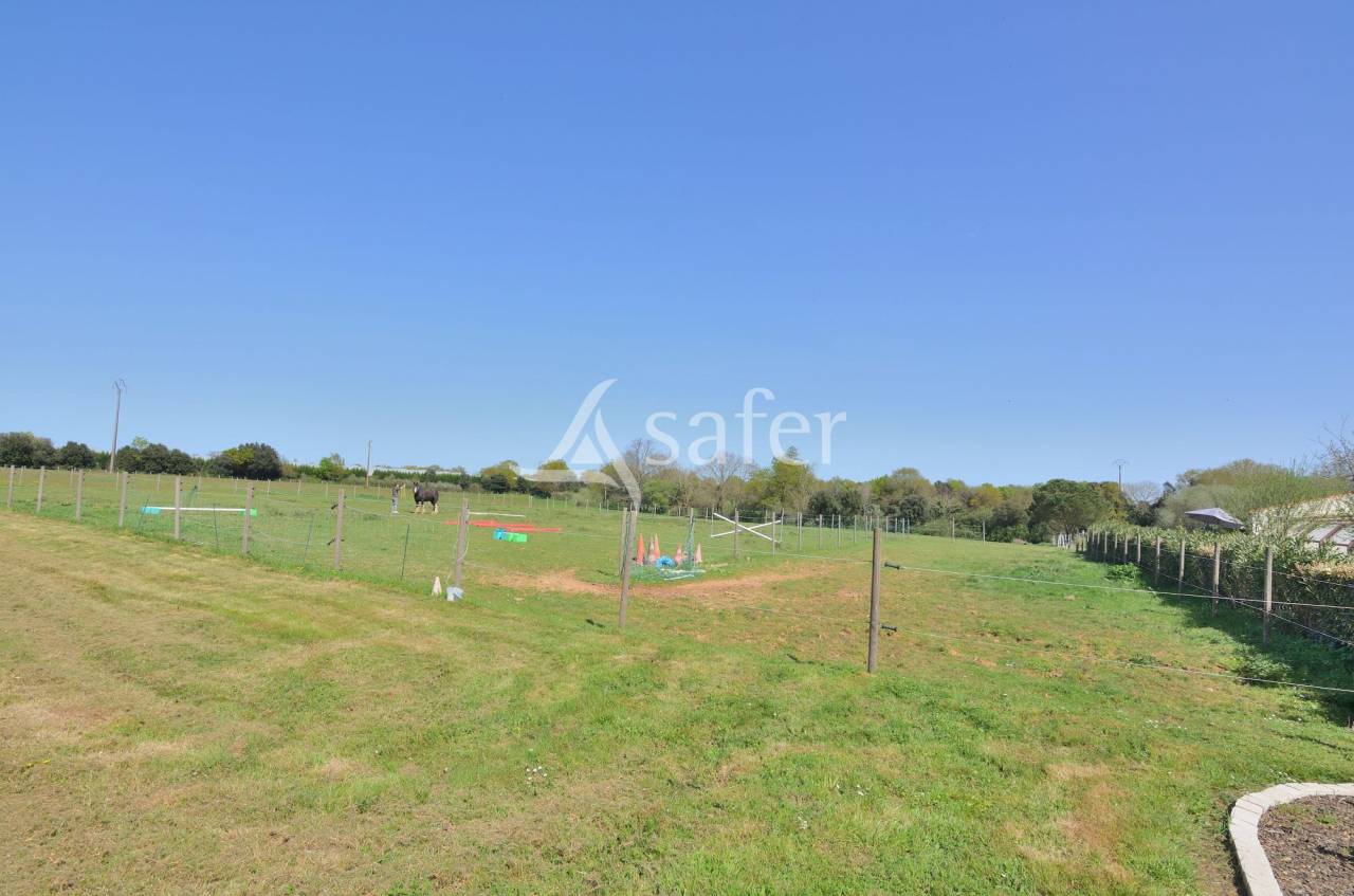 Proprietà rurale In vendita Vendée