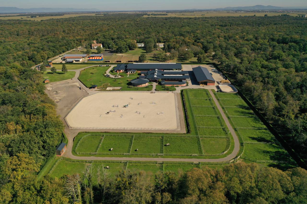 Scuderia per proprietari In vendita Haut-Rhin