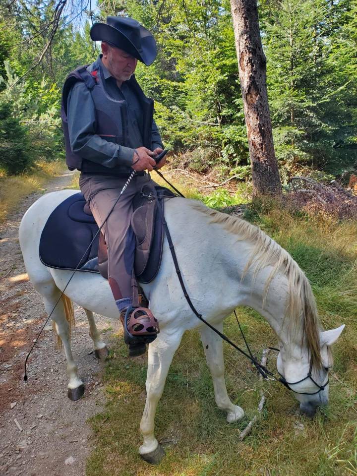 Castrone Berbero In vendita 2010 Bianco ,  HIZAHAU