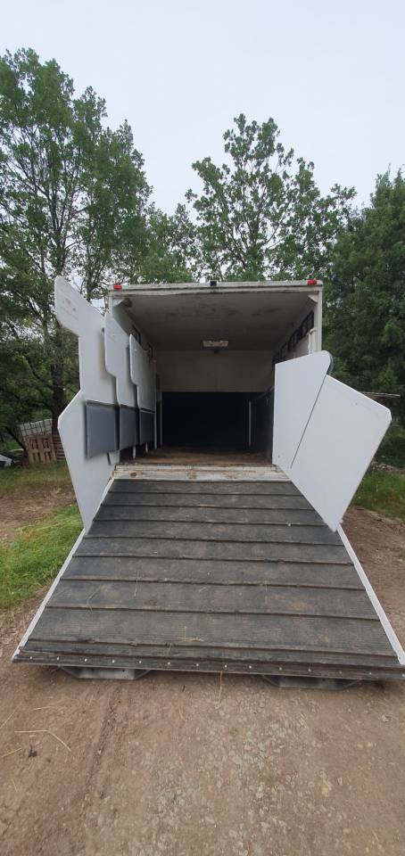 Camion per Cavalli Renault  2001 Occasione