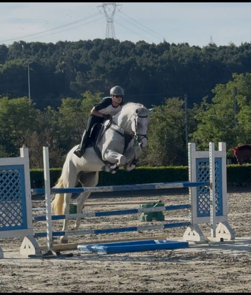 VENDITA CAVALLA DI 5 anni ITALIANA