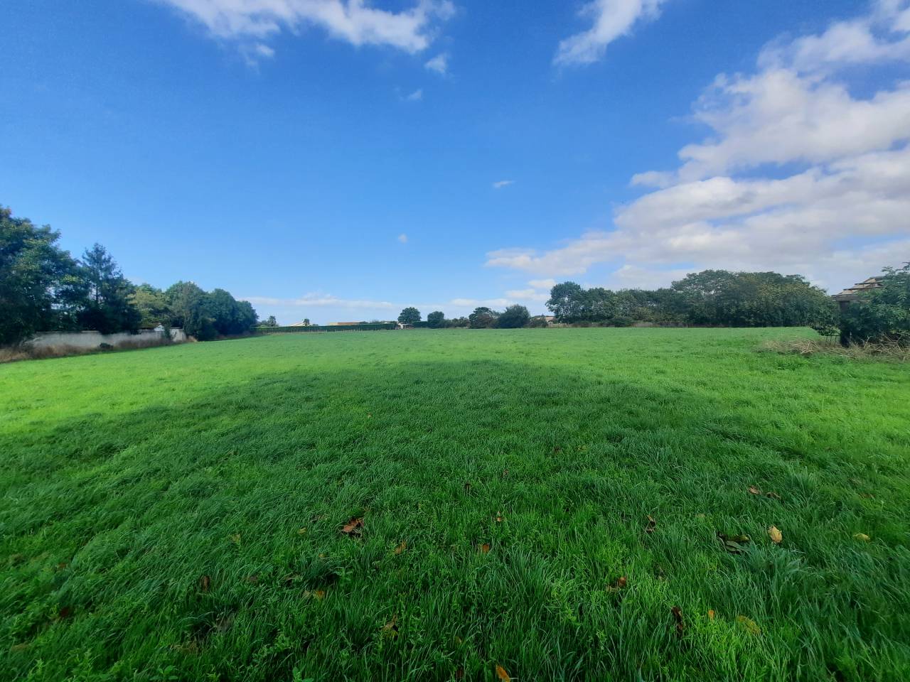 Proprietà equestre In vendita Charente-Maritime