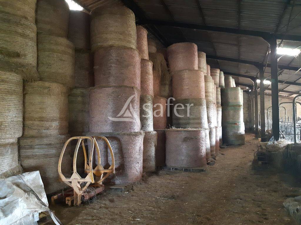 Azienda agricola In vendita Haute-Vienne