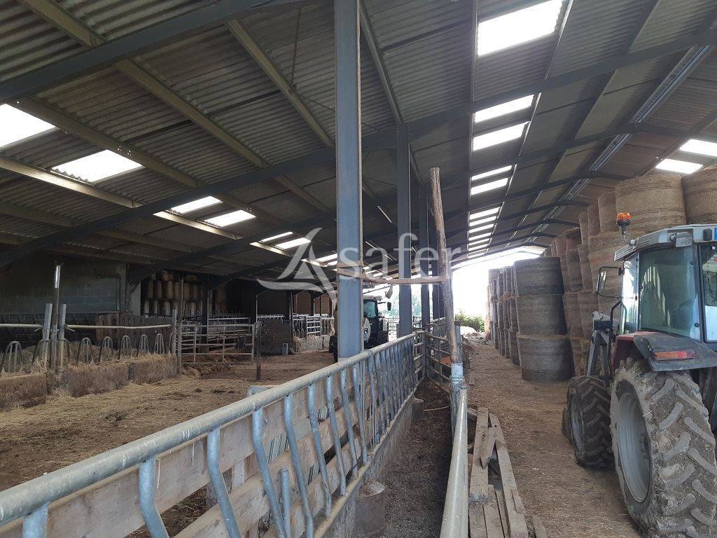 Azienda agricola In vendita Haute-Vienne