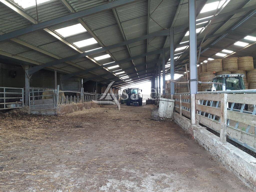 Azienda agricola In vendita Haute-Vienne