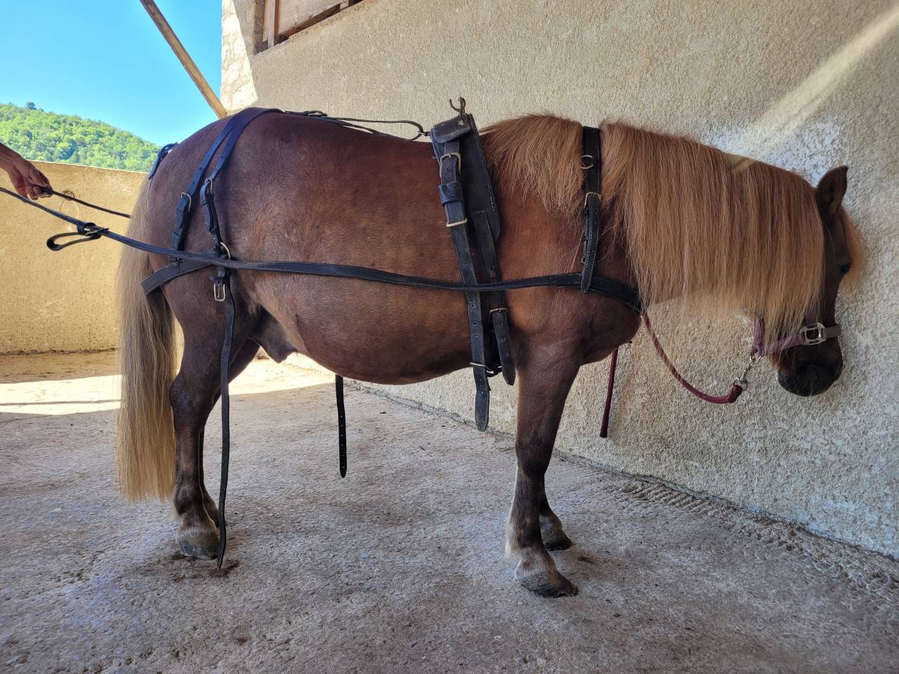 Attacchi - Altro attacco - Altra marca -  