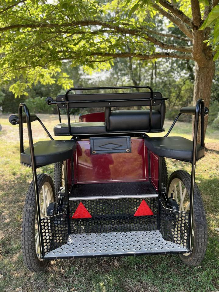 Attacchi - Marathon ricreazione Pouvreau Dresseuse 1 grand poney 